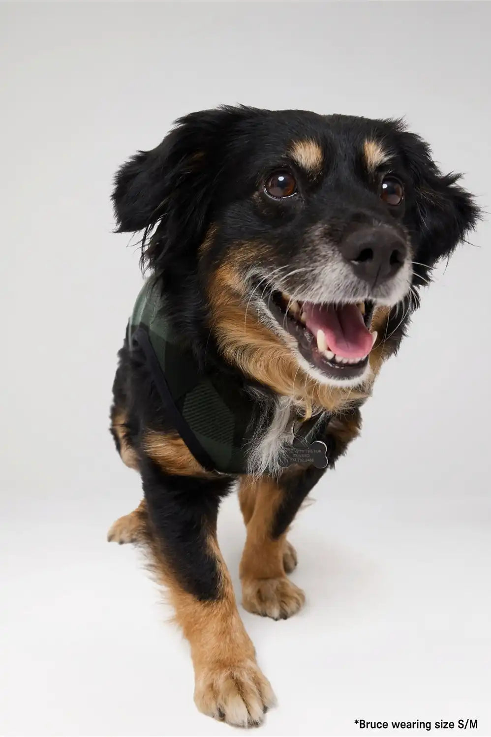 The Go-To Fleece Pet Onesie