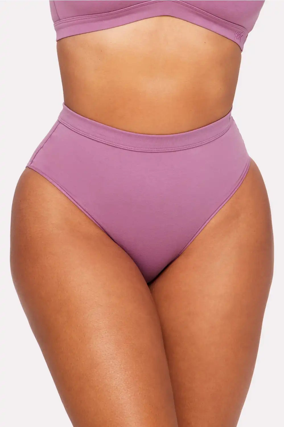 Snug Cotton High Waist Brief Main image