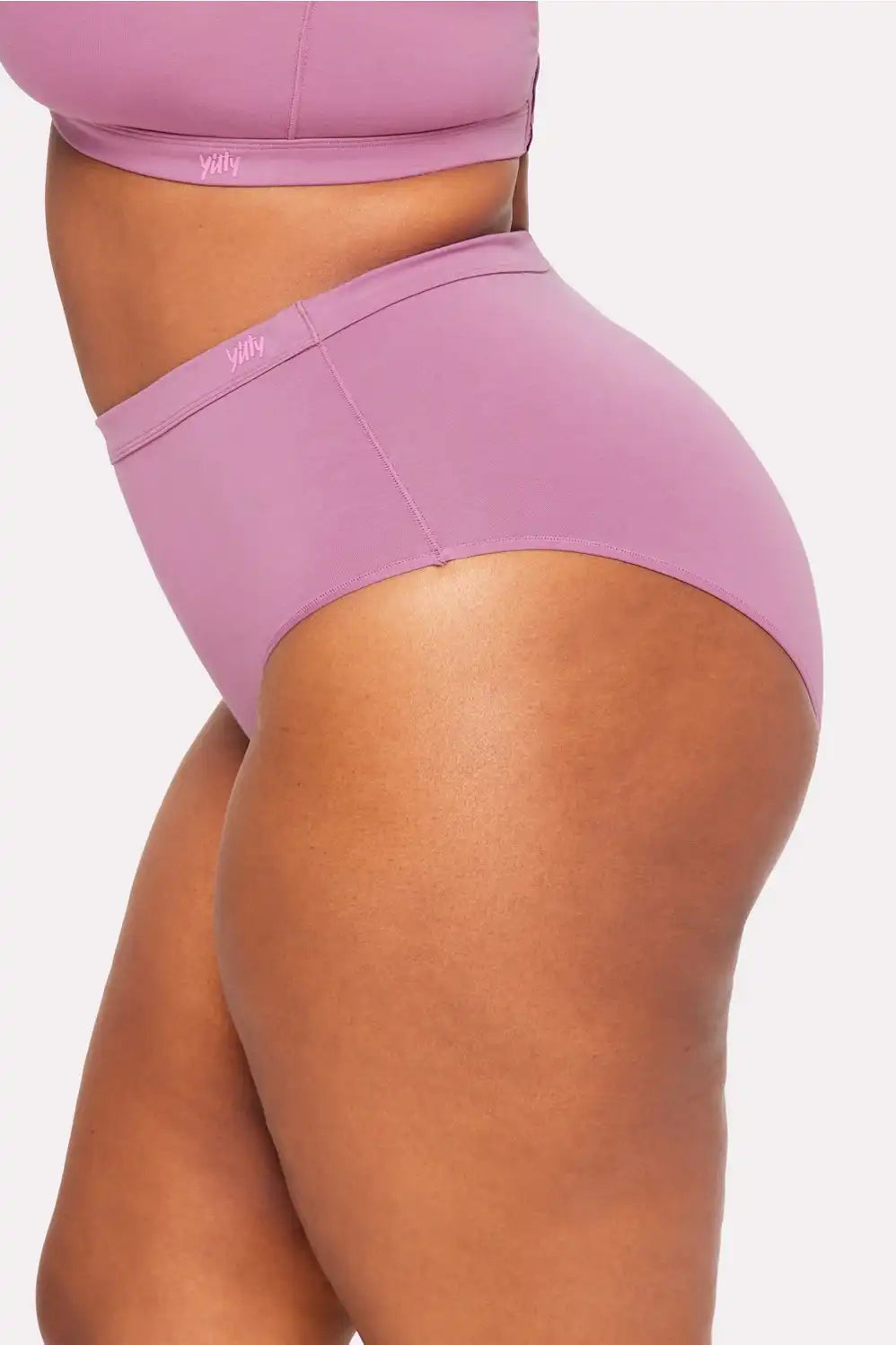 Snug Cotton High Waist Brief