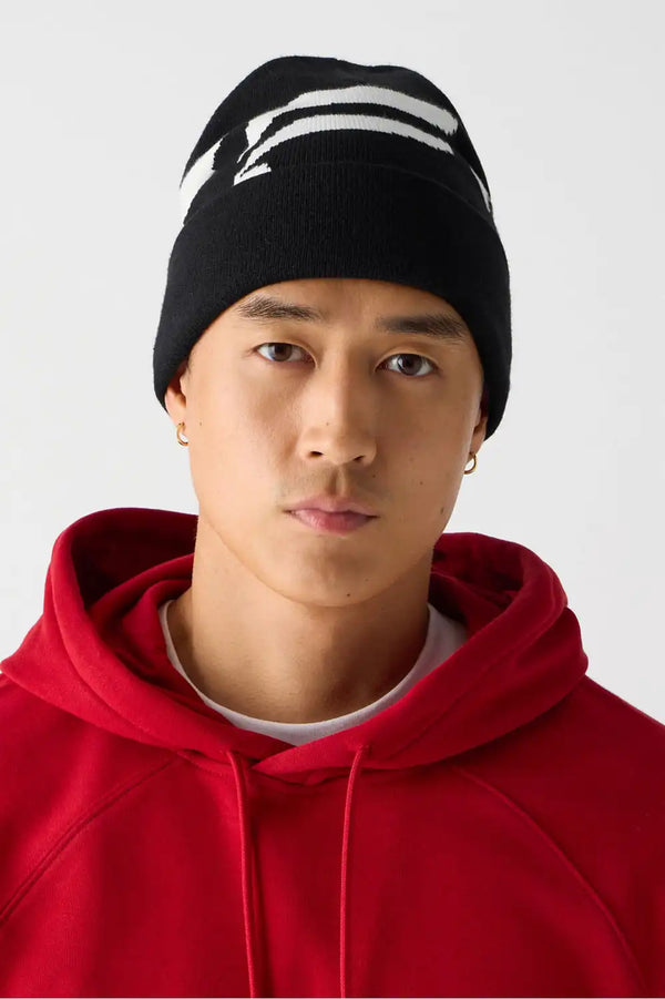 The Alpine Beanie