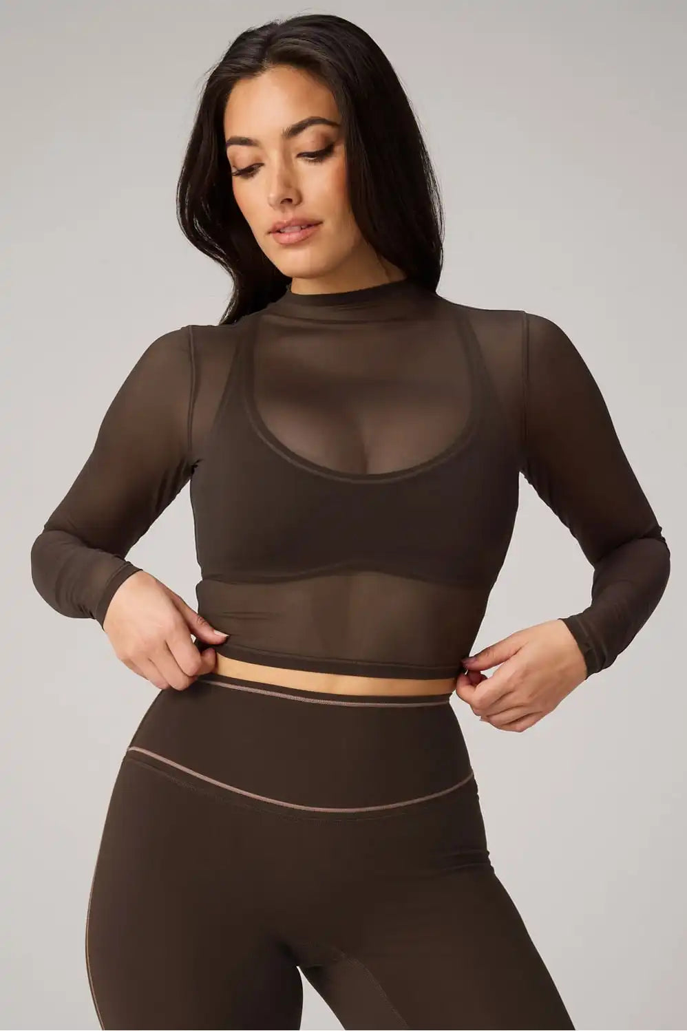 Mesh Long-Sleeve Crop Top