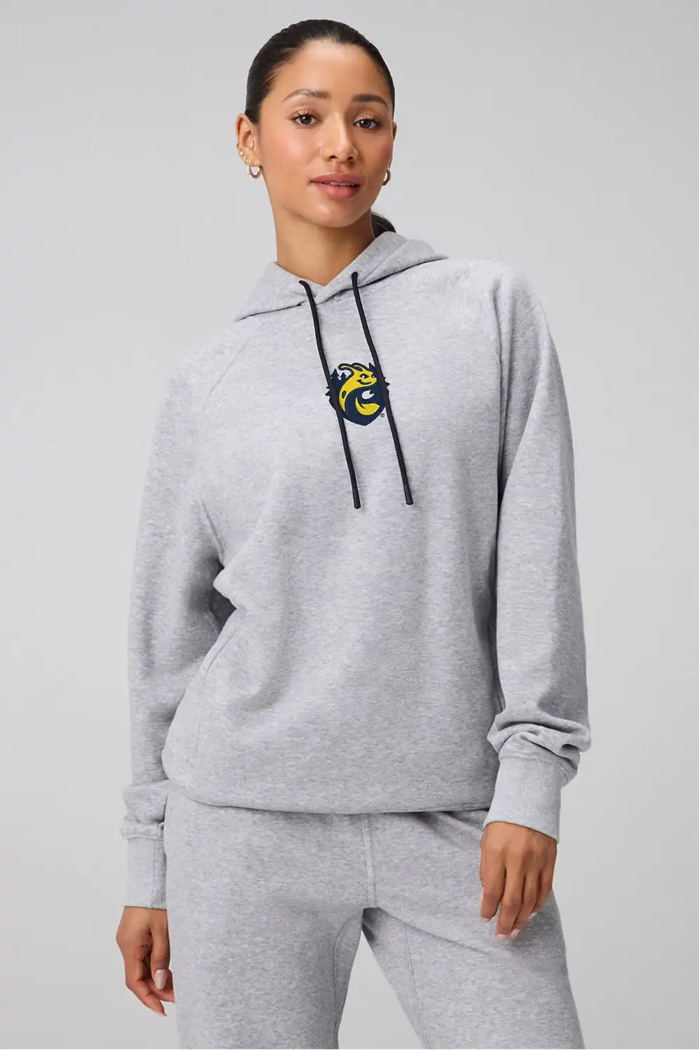 University Of California Santa Cruz The Go-To Hoodie