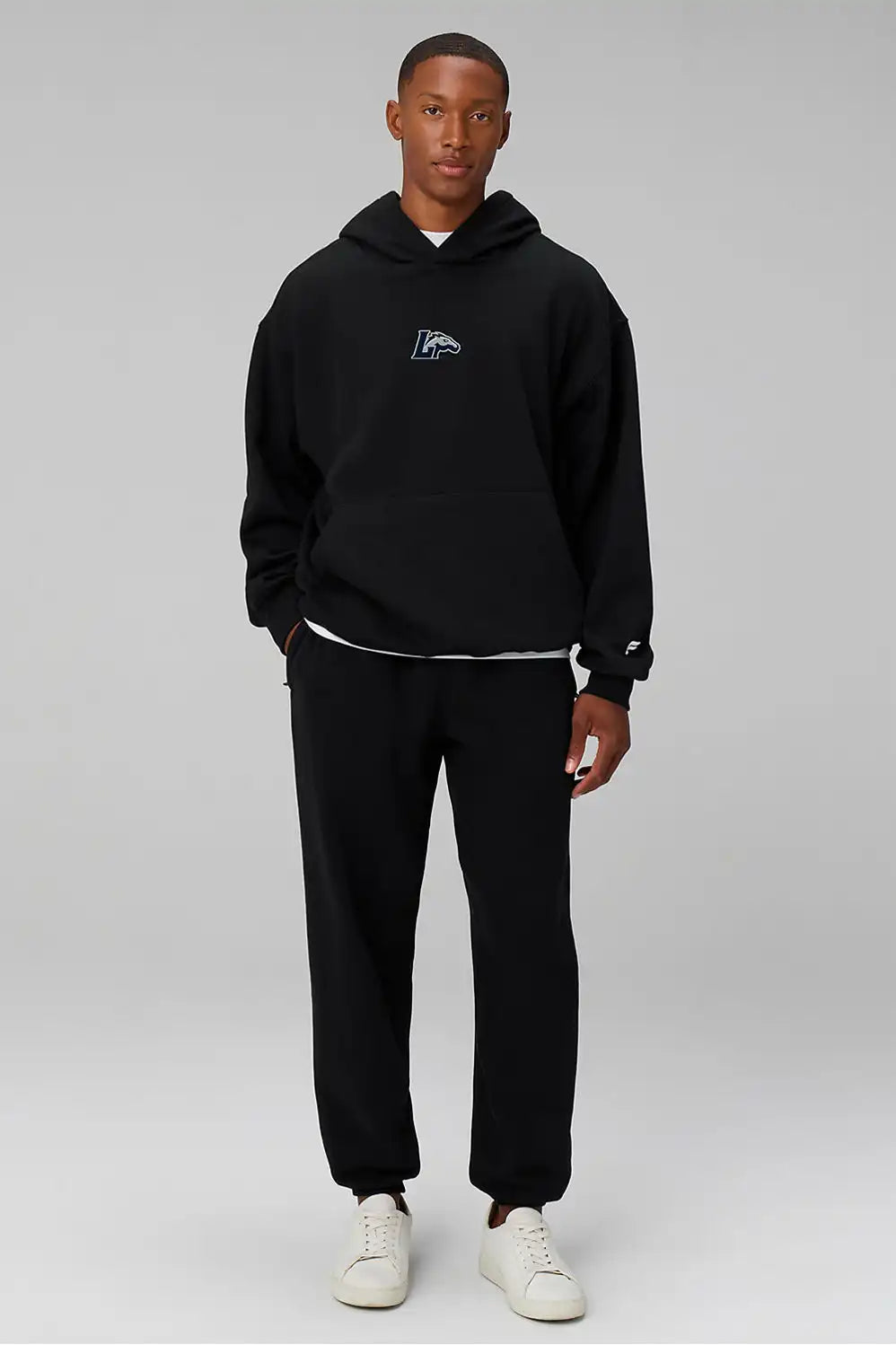 Longwood University The Go-To Hoodie (Oversized)