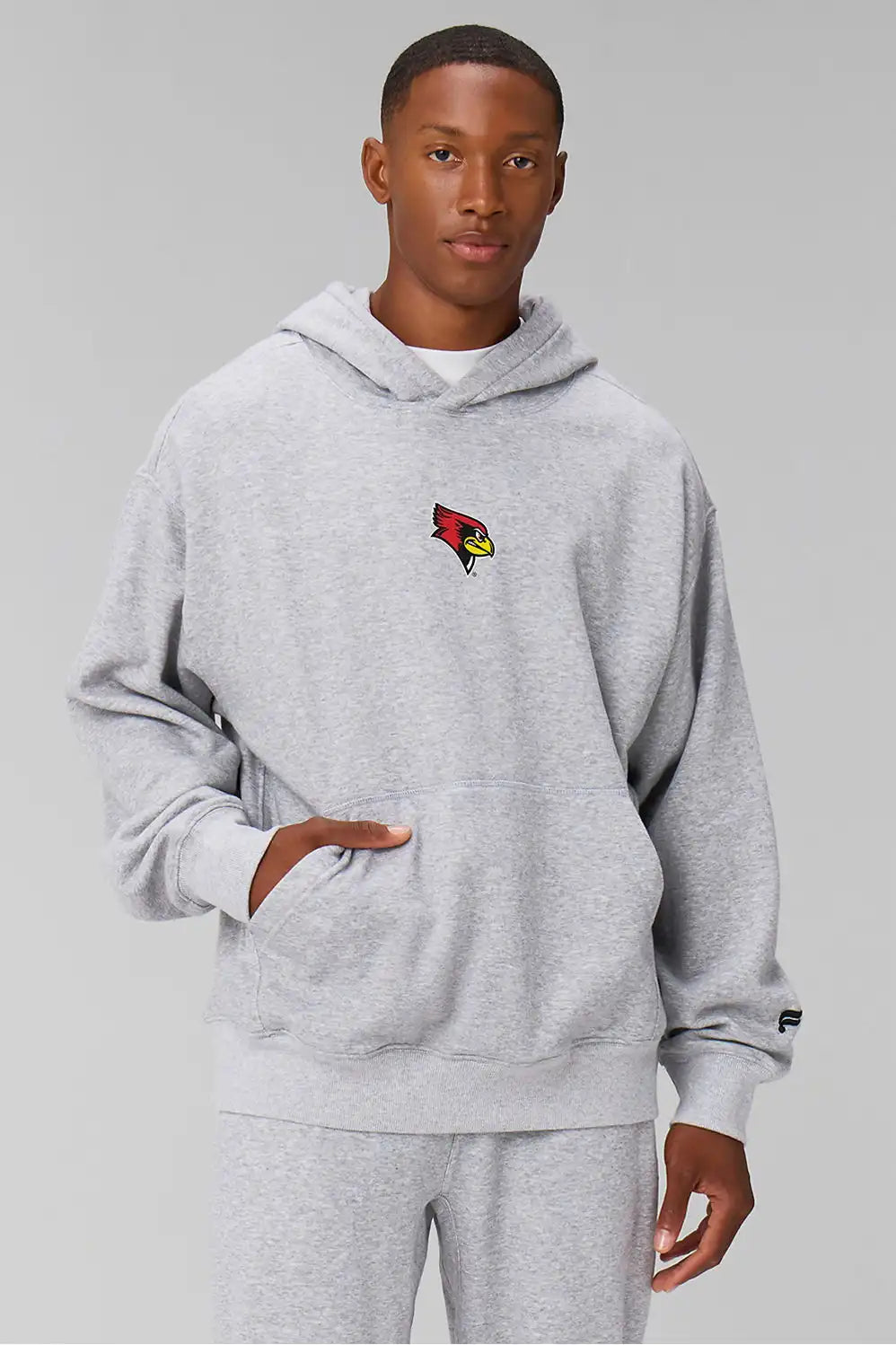 Illinois State University The Go-To Hoodie (Oversized)