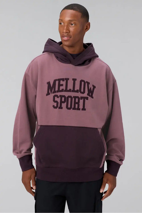 The Go-To Hoodie (Oversized)
