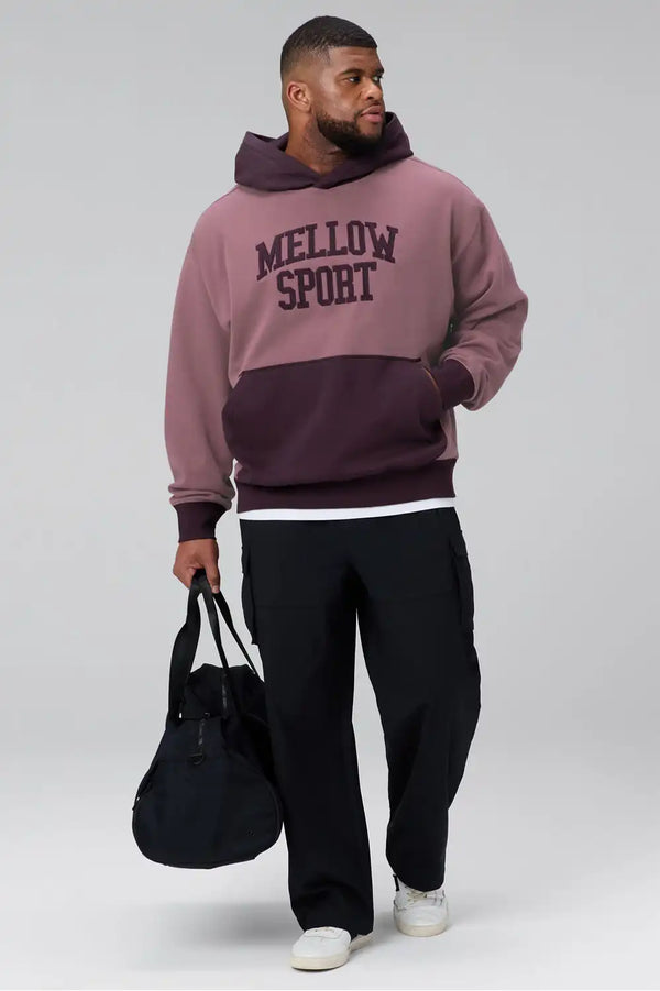 The Go-To Hoodie (Oversized)